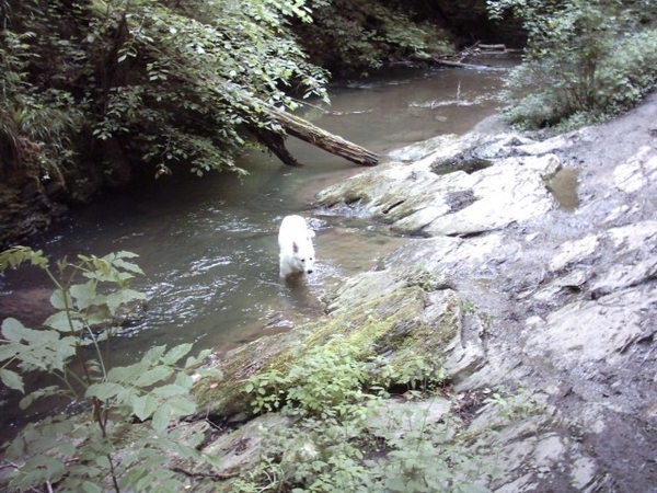 20060605 Boppard 118 Ehrbachklamm