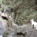 20060605 Boppard 120 Ehrbachklamm