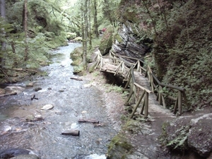 20060605 Boppard 121 Ehrbachklamm