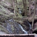 20060605 Boppard 122 Ehrbachklamm