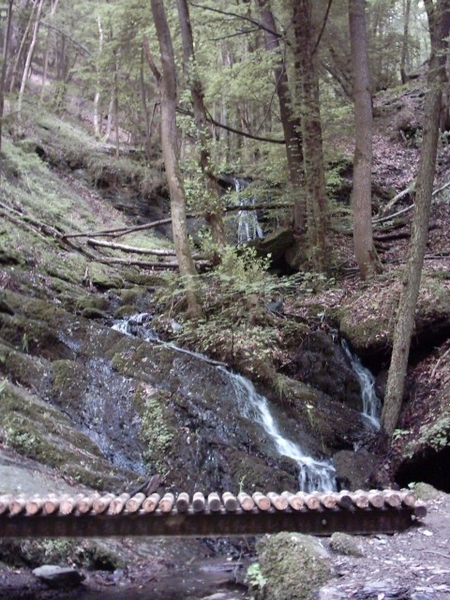 20060605 Boppard 122 Ehrbachklamm