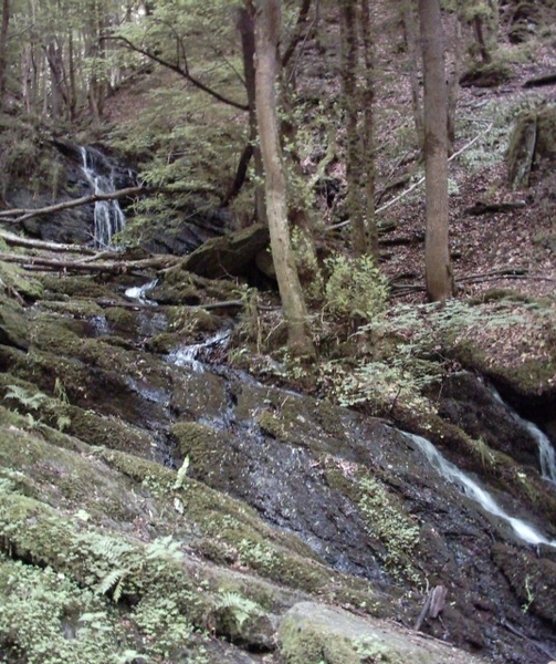 20060605 Boppard 123 Ehrbachklamm