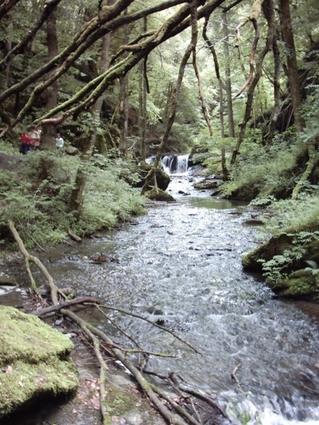 20060605 Boppard 124 Ehrbachklamm