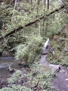 20060605 Boppard 125 Ehrbachklamm