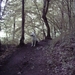 20060605 Boppard 127 Ehrbachklamm