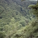 20060605 Boppard 144 Ehrbachklamm