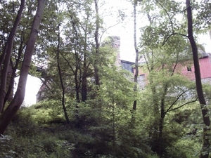 20060605 Boppard 147 Ehrbachklamm