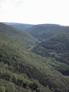 20060605 Boppard 164 Ehrbachklamm