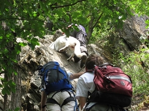 20070526 Boppard 027 Klettersteig