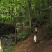 20070527 Boppard 109 Ehrbachklamm