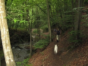 20070527 Boppard 109 Ehrbachklamm