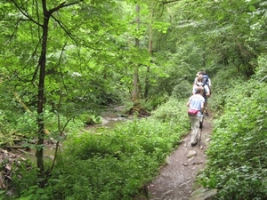 20070527 Boppard 112 Ehrbachklamm