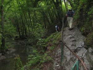 20070527 Boppard 117 Ehrbachklamm