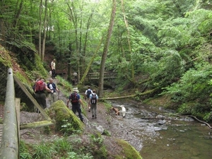 20070527 Boppard 122 Ehrbachklamm