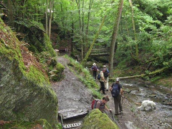 20070527 Boppard 123 Ehrbachklamm