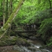 20070527 Boppard 124 Ehrbachklamm