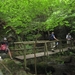 20070527 Boppard 125 Ehrbachklamm