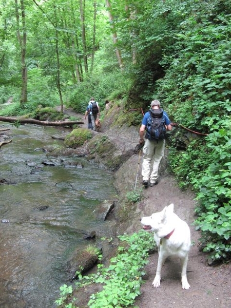 20070527 Boppard 127 Ehrbachklamm