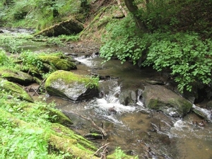 20070527 Boppard 128 Ehrbachklamm