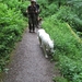 20070527 Boppard 129 Ehrbachklamm