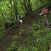 20070527 Boppard 138 Ehrbachklamm