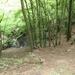 20070527 Boppard 142 Ehrbachklamm