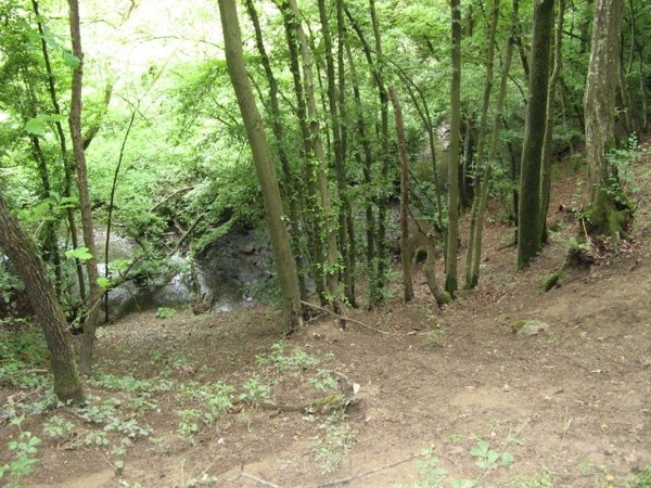 20070527 Boppard 142 Ehrbachklamm