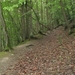 20070527 Boppard 152 Ehrbachklamm