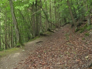 20070527 Boppard 152 Ehrbachklamm