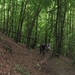 20070527 Boppard 153 Ehrbachklamm