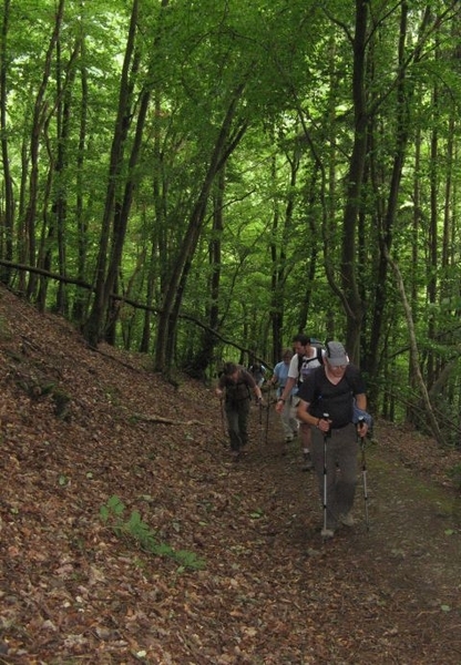 20070527 Boppard 154 Ehrbachklamm