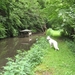 20070527 Boppard 179 Ehrbachklamm