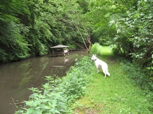 20070527 Boppard 179 Ehrbachklamm