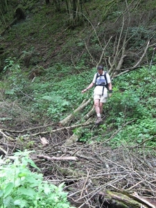 20070527 Boppard 184 Ehrbachklamm