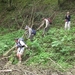 20070527 Boppard 185 Ehrbachklamm