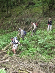 20070527 Boppard 185 Ehrbachklamm