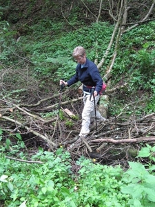 20070527 Boppard 189 Ehrbachklamm