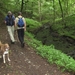 20070527 Boppard 190 Ehrbachklamm