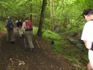 20070527 Boppard 191 Ehrbachklamm