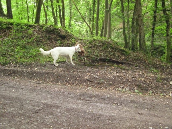 20070527 Boppard 200 Ehrbachklamm