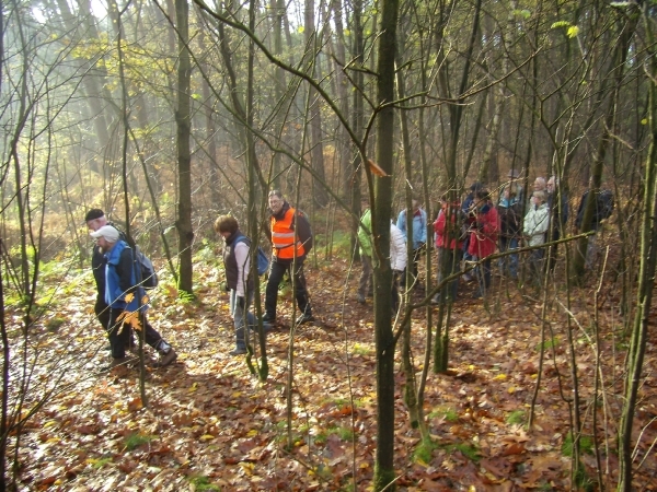 2013-11-11 KKT Zichem-Tessenderlo 019