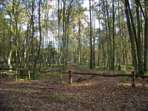 2013-11-11 KKT Zichem-Tessenderlo 043
