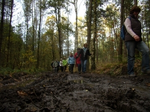2013-11-11 KKT Zichem-Tessenderlo 077