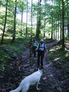 20070520 Kufstein 018a naar Brunnstein