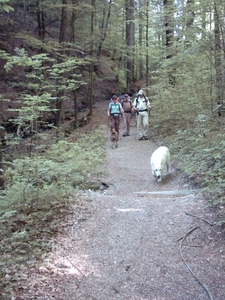 20070520 Kufstein 041 naar Brunnstein