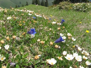 20070522 Kufstein 254 Thiersee