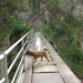 20070523 Kufstein 280 PiramidenSpitze