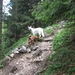 20070523 Kufstein 294 PiramidenSpitze