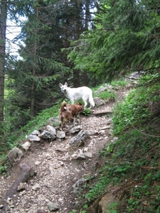 20070523 Kufstein 294 PiramidenSpitze