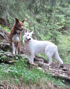 20070523 Kufstein 296 PiramidenSpitze